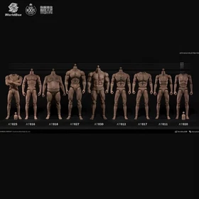 Worldbox AT011/12/16-20/42 1/6 Male Durable Joint Body For 12"Action Figure Doll
