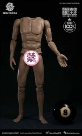 1/6 Scale WorldBox Strong Male Body Fit 12'' Collectible Figure Accessory New