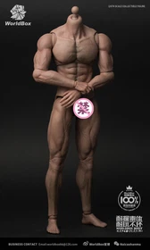 WorldBox AT017 AT018 AT020 AT027 AT032 AT012 1/6 Muscular Male Flexible Figure