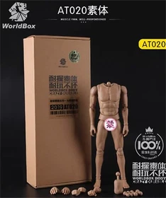 WorldBox AT011 AT012 AT017 AT044 AT020 AT042  AT032 1/6 Scale 12 "Muscular Body
