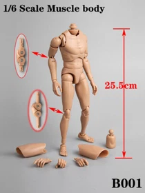 ZYTOYS 1/6 Scale Male Body Model Upgraded Version 12" Figure Dolls Girls Gifts