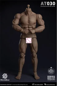 WorldBox AT011 AT012 AT017  AT020 AT044 AT030  AT032 1/6 Scale 12" figure body