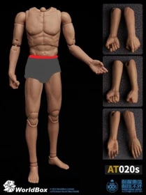 WorldBox 1/6 seamless forearm arm set AT020 S C for AT011 AT025 AT020 Body ❶USA❶