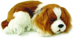 01705002796 CHARLES Petzzz Cavalier King Realistic Lifelike