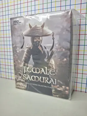 LR005 BROTOYS Female Samurai Warrior Action Figure