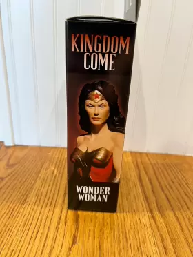 761941238012 WONDER Kingdom Come Woman Wave Action Figure #3