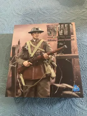 B11013 DID Wwi British Infantry Lance Corporal Tom