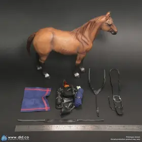 E60082 DID War Horse Scale Captain Nathan