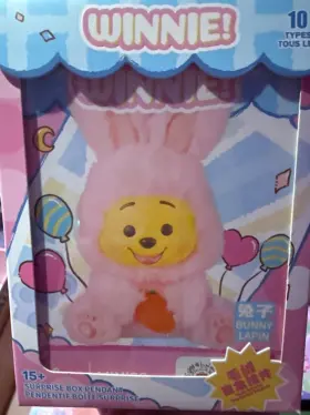 931604323469 DISNEY Confirmed Bunny Miniso Winnie Bag Charm