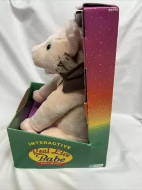 797191252317 EQUITY TOYS Babe Friends Interactive Box #3