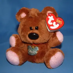 RETGS6S324746 FOTELILONA Ty Beanie Baby Pooky Bear Garfields