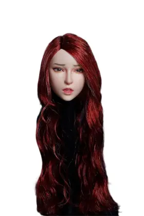 EFSDH023-SDH027 FREMEGO Scale Female Head Sculpt Asian Hair