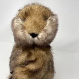 30702 GEMMY Caddyshack Dancing Gopher #2 30702 GEMMY Caddyshack Dancing Gopher #2
