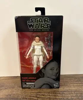 E4081 HASBRO Star Wars Padme Amidala Action Figure