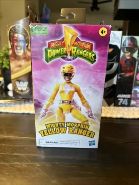 F7421 HASBRO Power Mighty Morphin Ranger Female Sabertooth