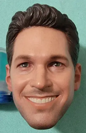 MMS497 HOT TOYS Ant Scott Lang Action Figures Paul Rudd Head