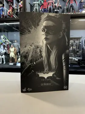 MMS627 HOT TOYS Catwoman