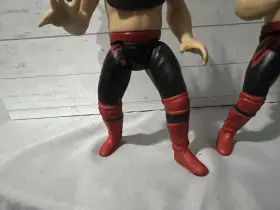 657D4898-C94A-4 JAKKS PACIFIC Wwe Legion Doom Animal Hawk #3
