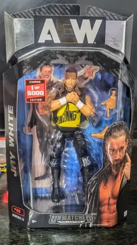 010225-WB JAZWARES Aew Unmatched Chase Wrestling Figure