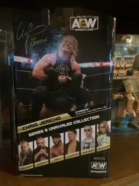191726393689 JAZWARES Aew Unrivaled Chris Jericho Painmaker #2