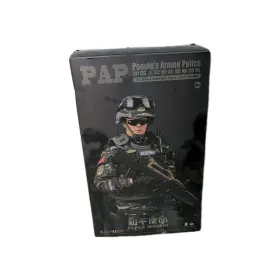 CH02 KAD HOBBY Peoples Armed Police Action Figure Scale Peace
