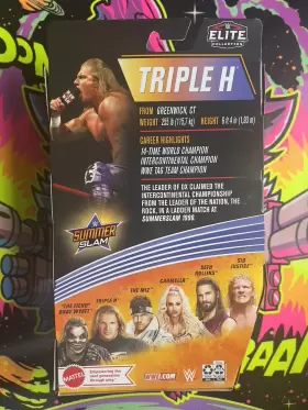 684173-A MATTEL Wwe Elite Slam Triple Dx Figure Variant #2