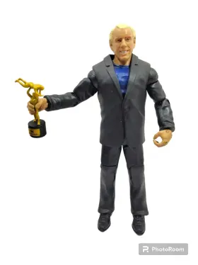 887961395594 MATTEL Wwe Ric Flair Figure Suit Wcw Nature Boy