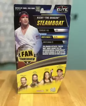 887961947960 MATTEL Ricky Dragon Steamboat Figure Wwe Elite #2