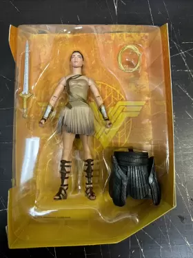 FDF47 MATTEL Comics Multiverse Diana Themyscira Wonder Woman