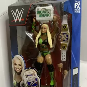 HKP01 MATTEL Wwe Liv Morgan Elite Action Figure Bank #2