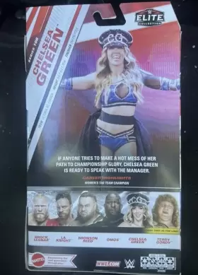 HTX46 MATTEL Chelsea Gear Wwe Elite Toy Wrestling Figure #2