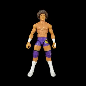 Elite MATTEL TOYS Wwe Wrestling Legends Carlito Action Figure