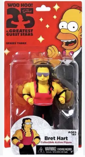 16072 NECA Simpsons Bret Hart Figure