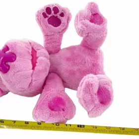 2200RB01 NICKELODEON Blues Clues Talking Peek Boo Toy Dog #3
