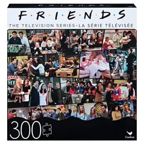 778988259986 RED BIRD HONG KONG LTD Friends Puzzle Asst