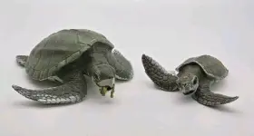 267429 SAFARI LTD Kemps Ridley Sea Turtles Moma Baby Figures