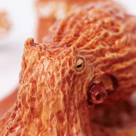 793631585274 SAFARI LTD Giant Pacific Octopus Figurine Figure #2