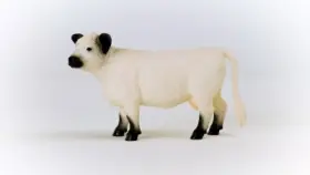 13960 SCHLEICH Pack Galloway Cow Toy Animal Figure Up