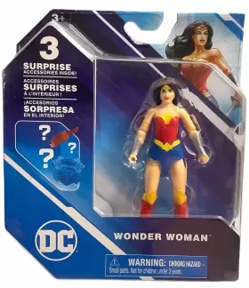 6056331 SPIN MASTER Wonder Woman Action Figure Surprise