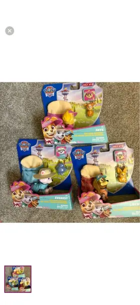 6074830 SPIN MASTER Paw Patrol Pup Pals Campout Liberty Skye