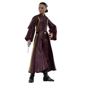 G00255X21 STAR WARS Padme Amidala Action Figure