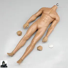PL-2018-M36A TBLEAGUE Scale Phicen Male Seamless Body Suntan