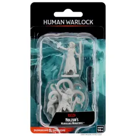 WK73837 WIZKIDS Nolzurs Marvelous Miniatures Female Human