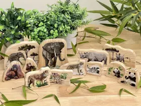 060213763562 YELLOW DOOR Endangered Animal Families Wooden #2