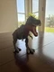 Jurassic World Fallen Tarbosaurus Dinosaur Rex Carnivore Figure Park Toy Rex