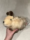 Mattel Minecraft Caves & Cliffs Goat Plush 8" Stuffed Animal Gift Soft Toy 2021!