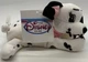 Disney Store - 8" Bean Bag Plush - 101 Dalmations - Jewel Plushie