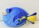 Dory Finding Nemo Disneyland Walt Disney World  Stuffed Beanbag Plush