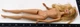 Barbie Nude Doll Figure Toy Blonde 2009 Mattel Poseable Knees