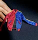 HT Hot Toys MMS383 1/6th Harley Quinn Suicide Squad Red And Blue Jacket Figure